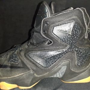 Nike Lebron 13 Black Lion